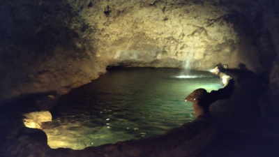 Harrison cave