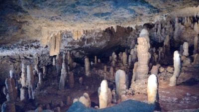 Harrison cave